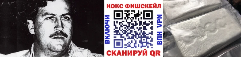 магазин продажи наркотиков  Петрозаводск  КОКАИН Fish Scale 