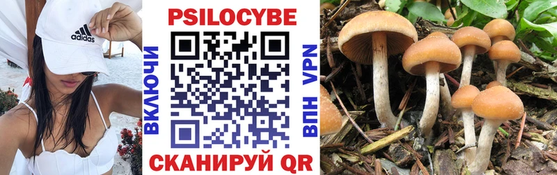 Галлюциногенные грибы MAGIC MUSHROOMS  Петрозаводск 